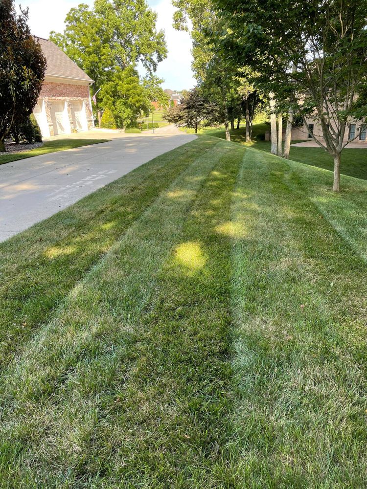 Landscaping for Transforming Landscaping & Tree Service in Bowling Green, KY