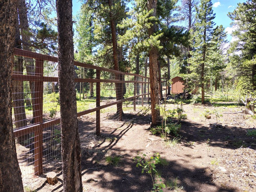 All Photos for Berry Handy Services in Loveland, CO