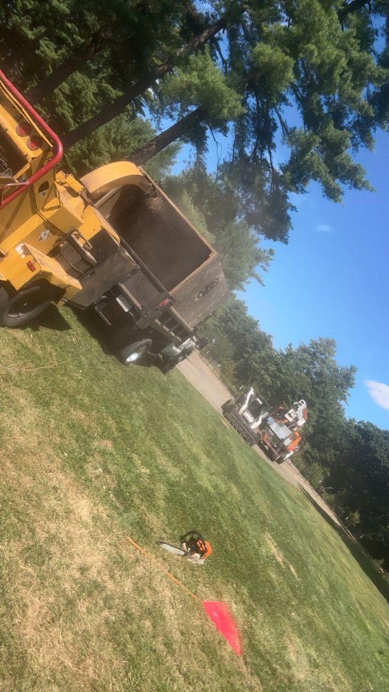 All Photos for Dwights Tree Service LLC in Middleborough, MA
