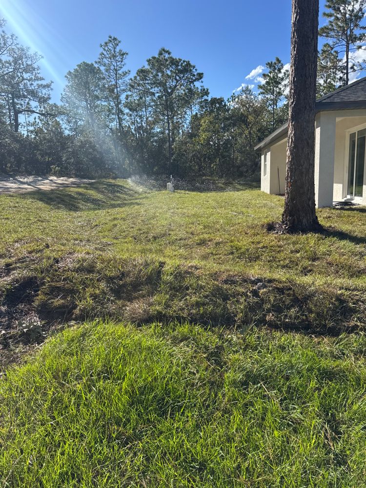 All Photos for Spirit Enterprise Construction LLC in Tampa Bay, FL