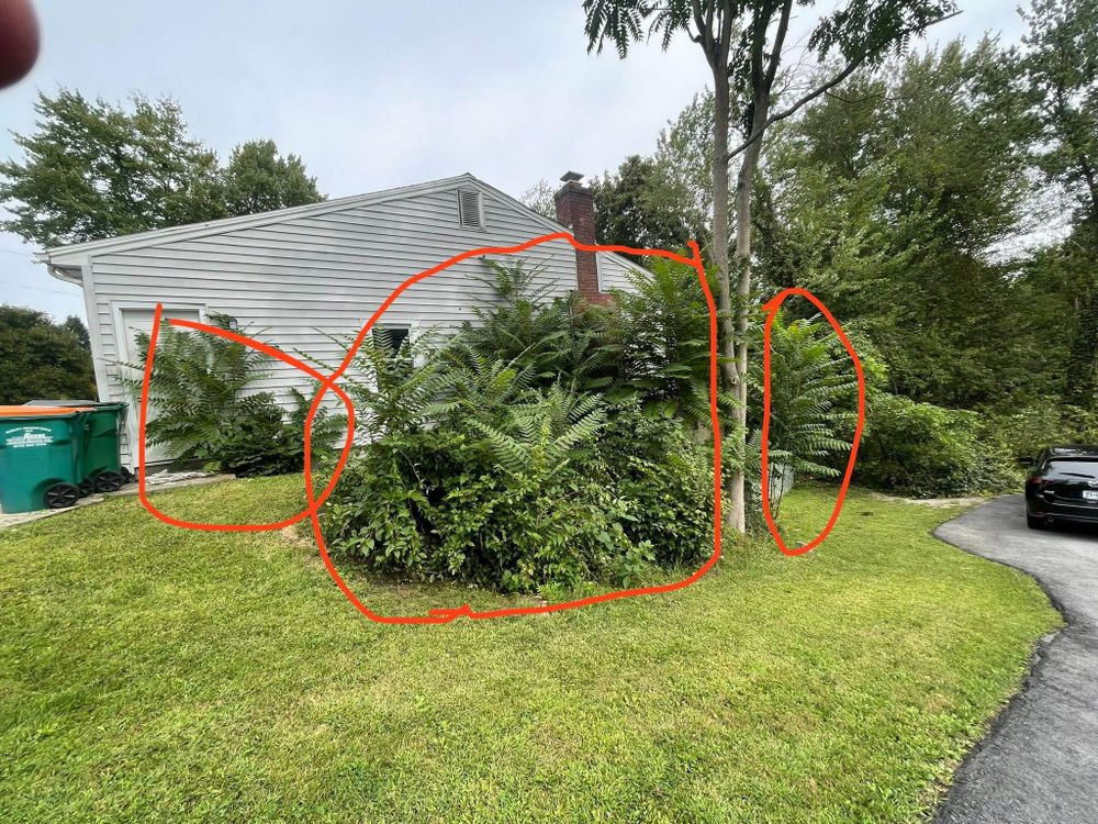 All Photos for Ardisi Property Maintenance LLC in Poughkeepsie, NY 