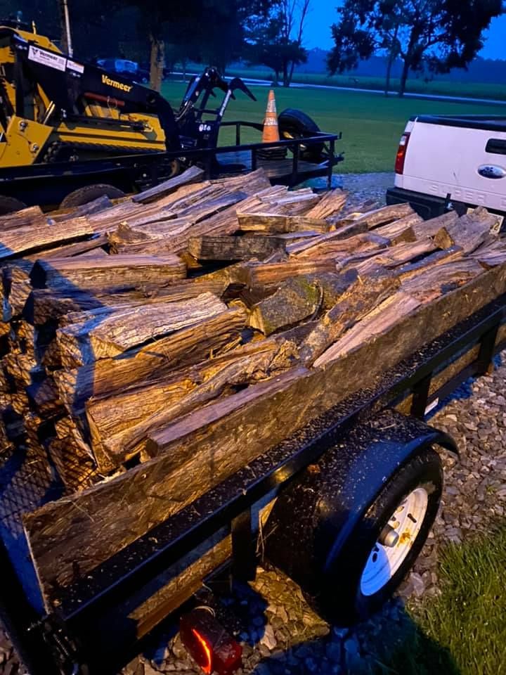 Tree Removal for Action Tree & Debris Removal in Jackson,  MS