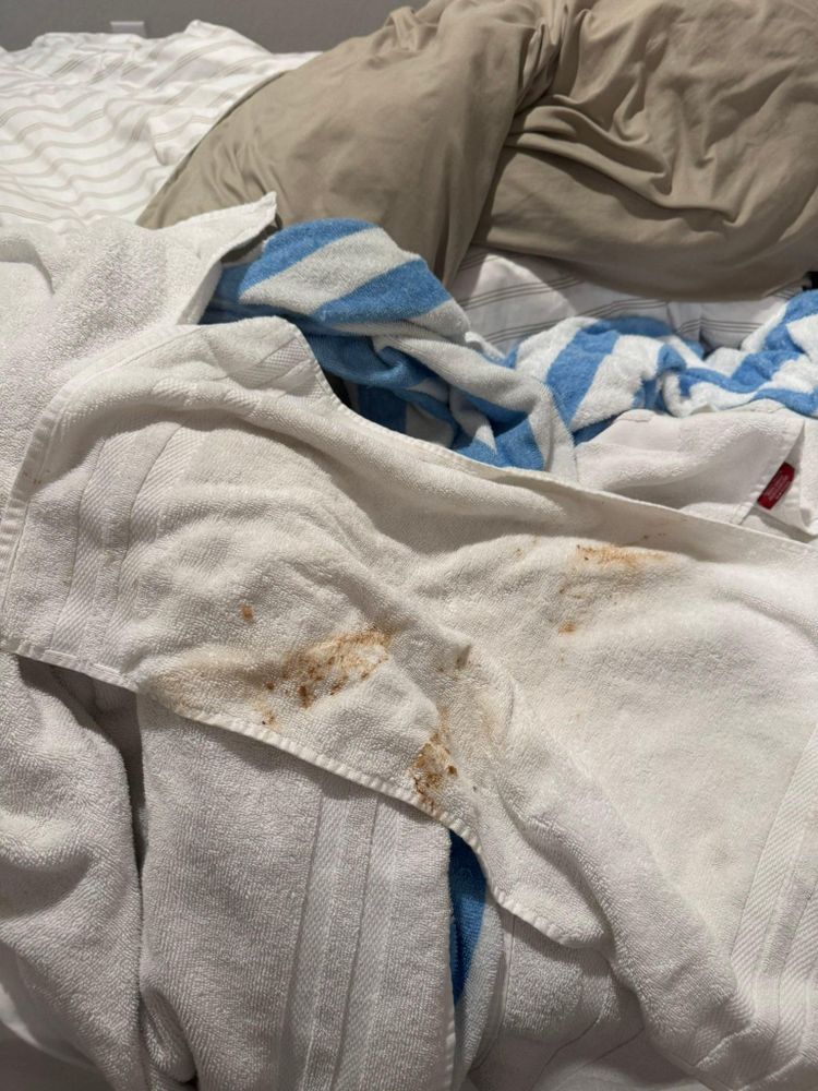 All Photos for A+ Cleaning and Services LLC in Deep Creek Lake, MD 