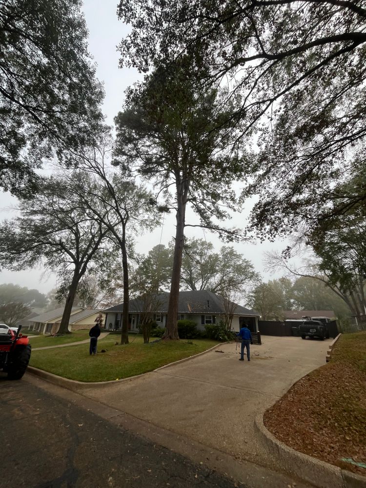 All Photos for JC Land and Tree Service in Kilgore, TX