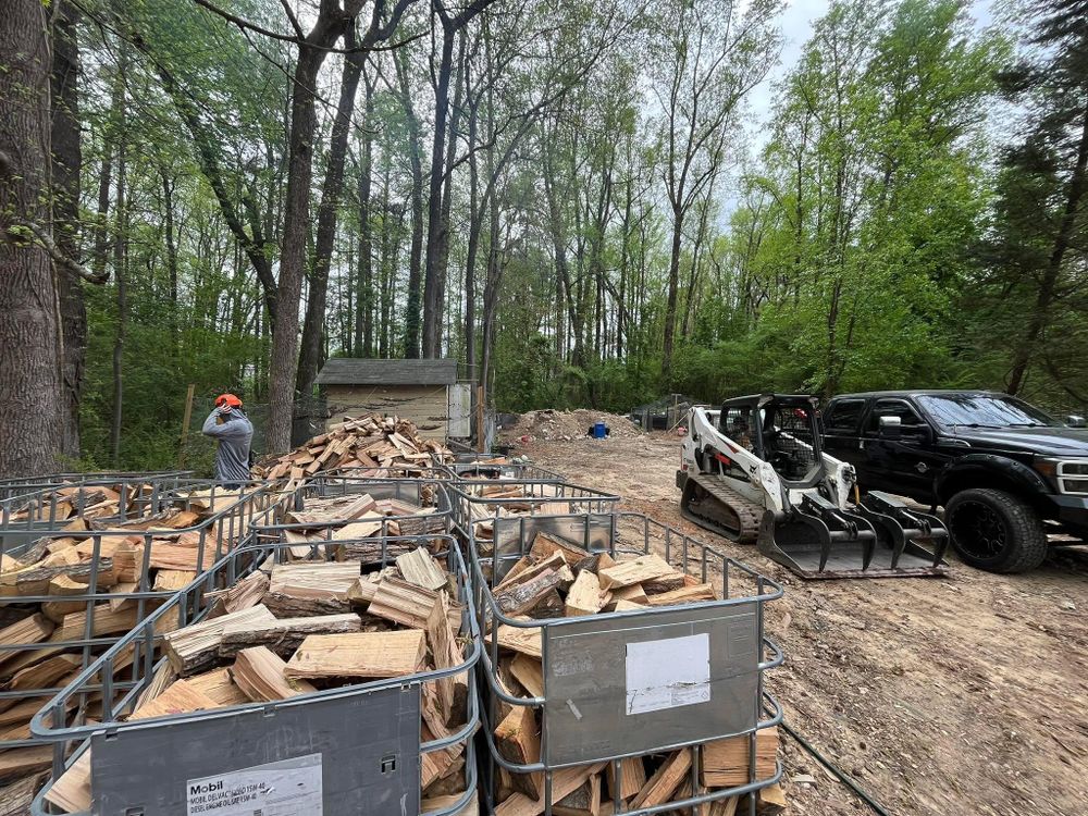 All Photos for AB Tree Service in Raleigh, NC