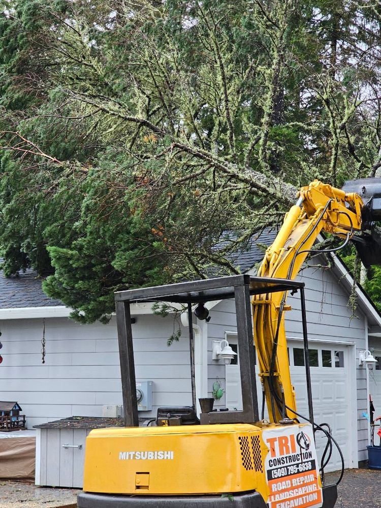 Tree Removal for Trio Tree Services in Ocean Park, WA
