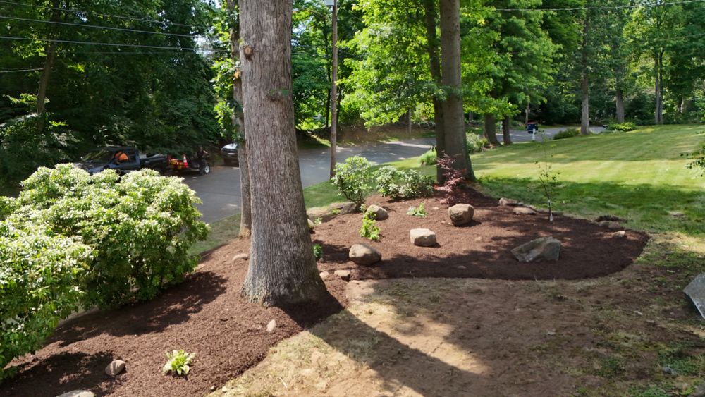 Landscape & Bed Design for Ace Landscaping in Trumbull, CT