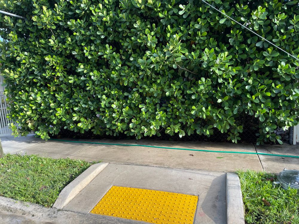 All Photos for Fountain Blast Pressure Wash in , 