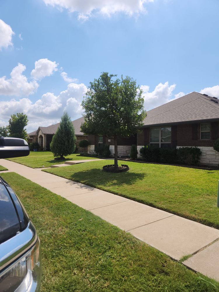 All Photos for Paquito's Landscaping in Ellis County, TX