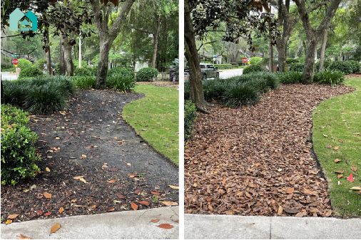 Lawn and landscape for Appealio in Gainesville, FL