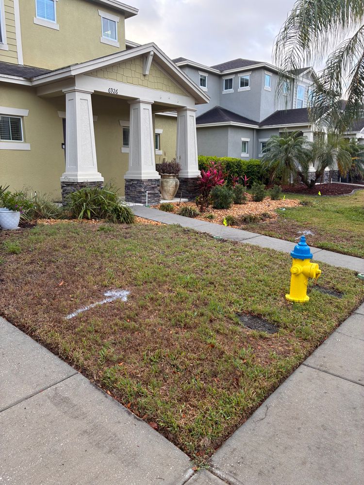 All Photos for Gulf Bay Sod in Clearwater, FL
