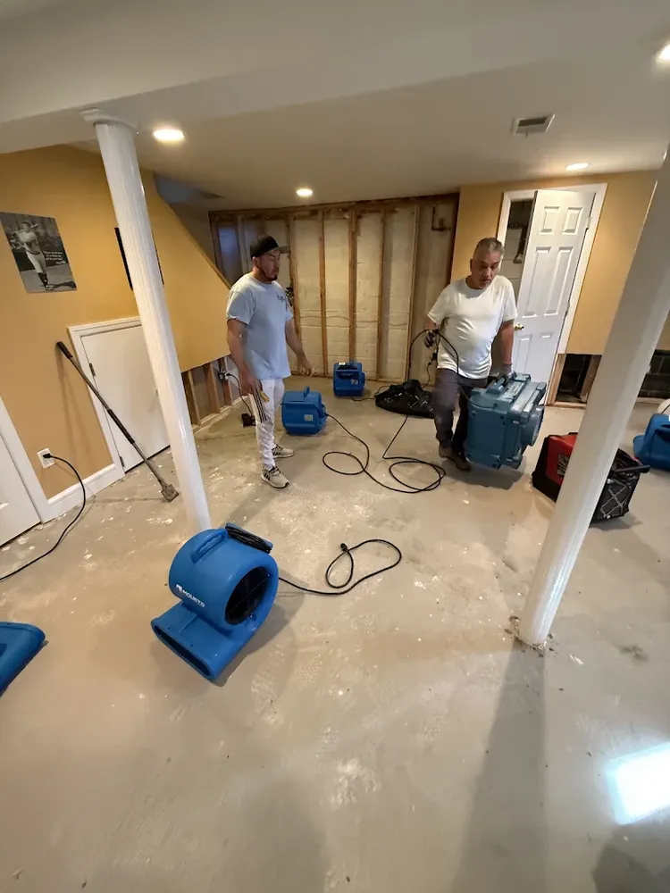 All Photos for CertaClean Restoration in Yonkers, NY
