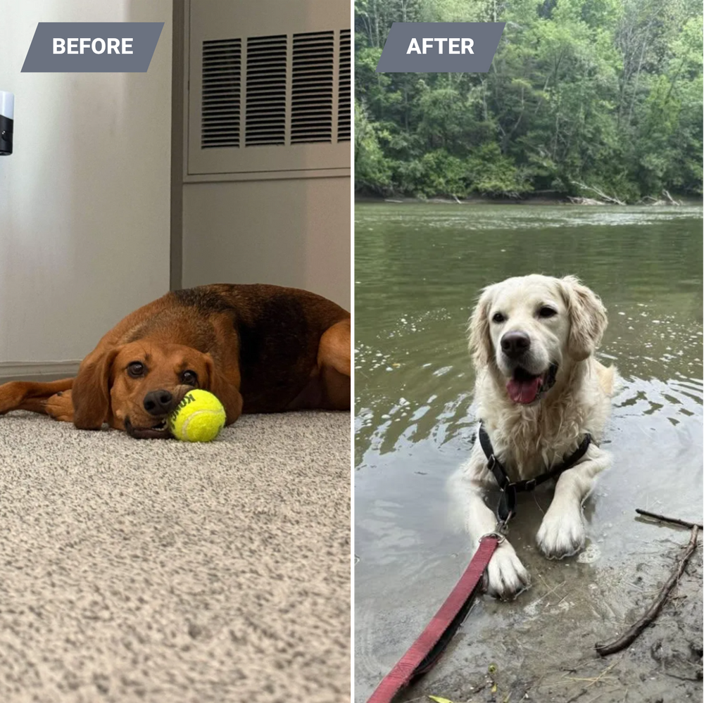 All Photos for Gallagher's Plastering in Covington, KY