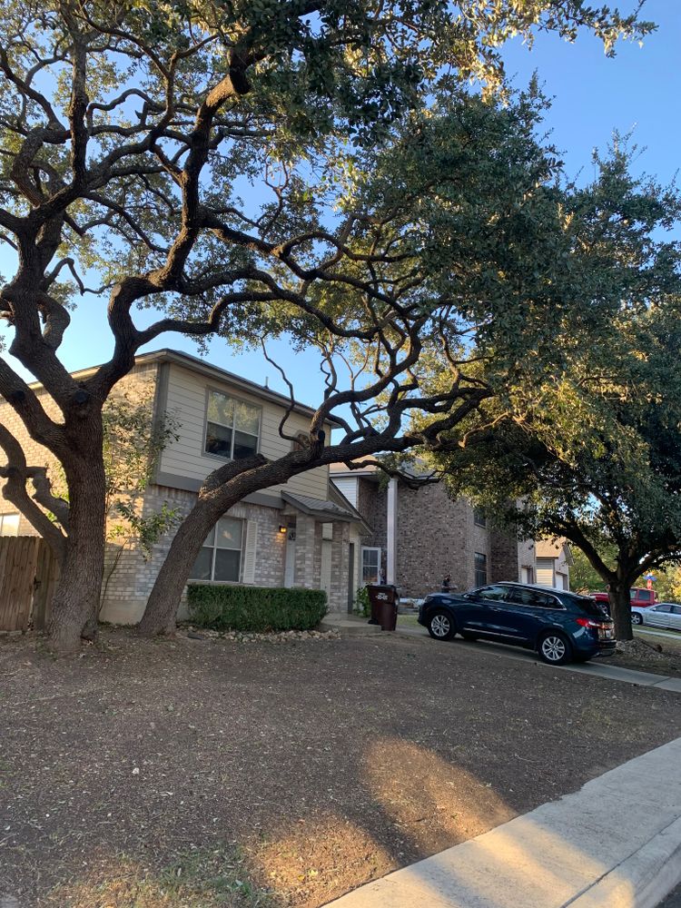 All Photos for DR Landscape in San Antonio, TX