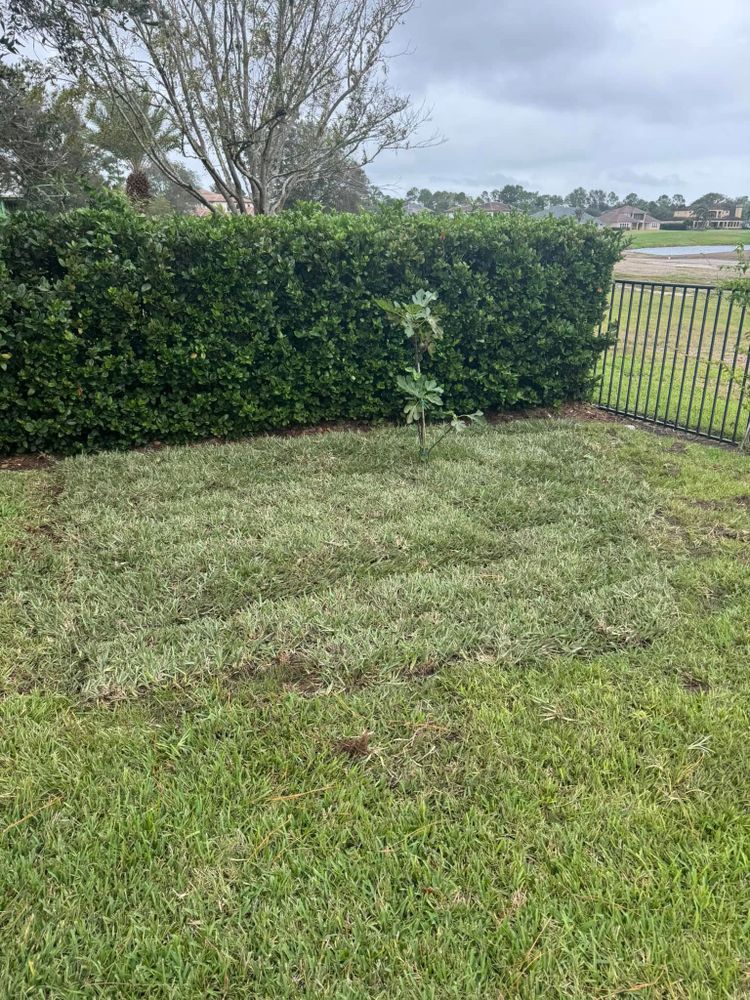 Enhance your home's curb appeal with our professional shrub trimming service, ensuring healthy growth and a neat appearance. Our experts provide precise cuts to maintain the beauty and balance of your landscape. for Four Corners Sod in Saint Augustine, FL