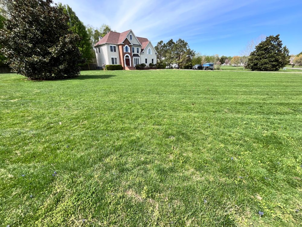 All Photos for John Page Landscaping in St. Mary's County, MD