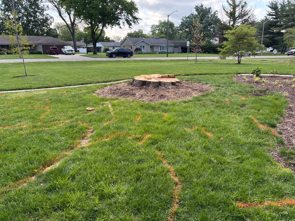 All Photos for Conrad's Stump Removal in Columbus, IN