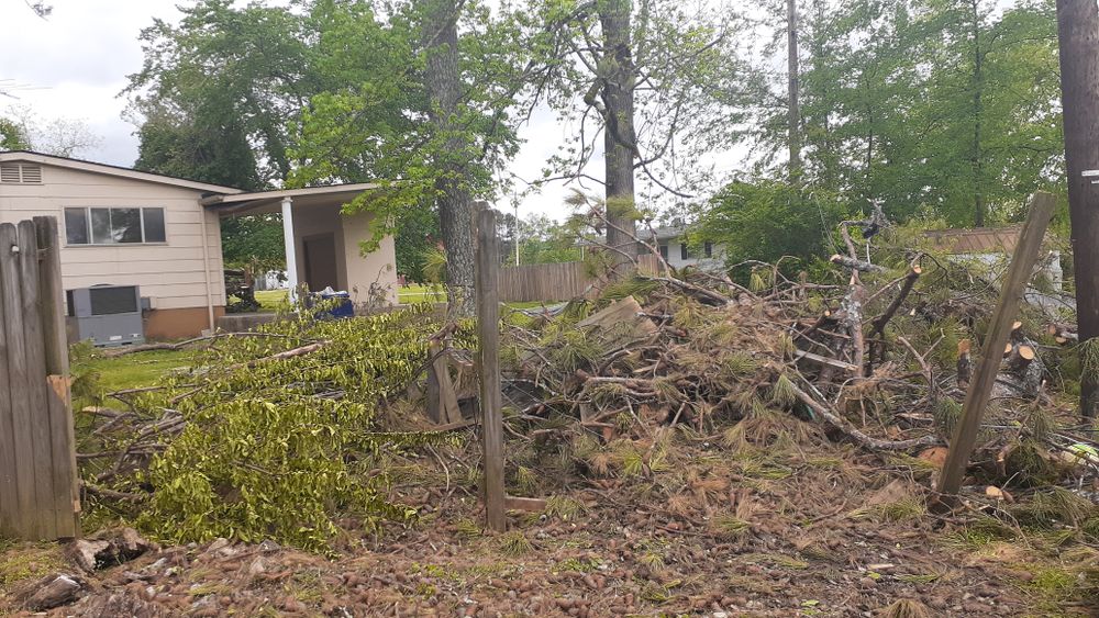 All Photos for Professional Tree Service USA in Chattanooga, TN