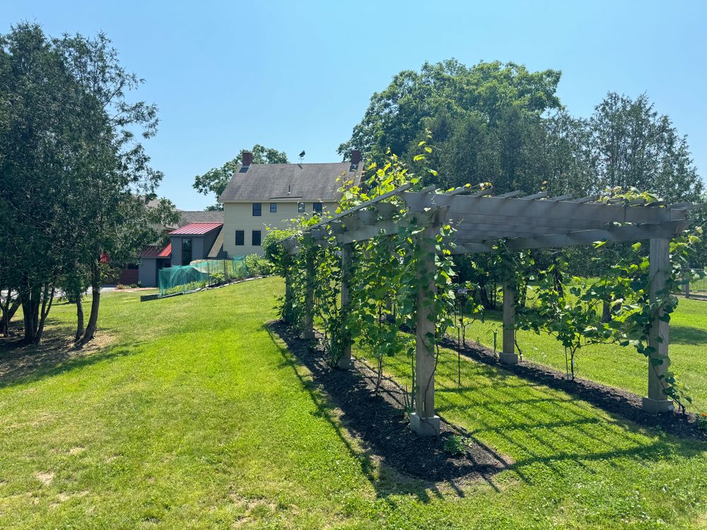 All Photos for Natural Roots in Georgetown, ME