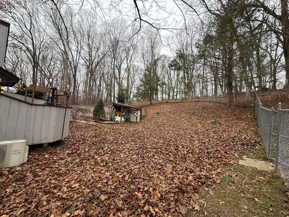 All Photos for Ardisi Property Maintenance LLC in Poughkeepsie, NY 