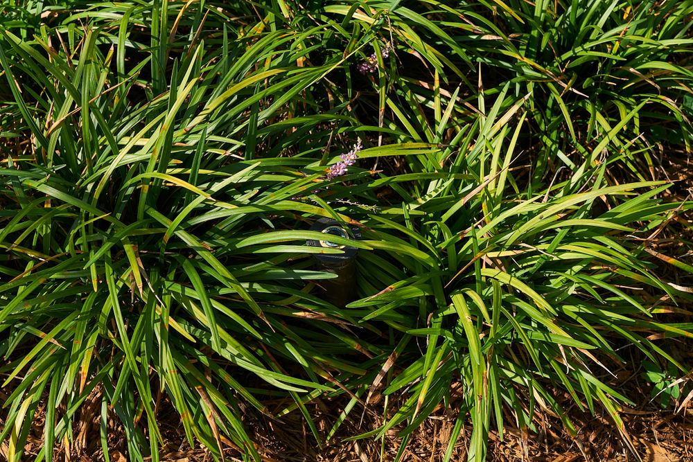 Irrigation for Arazoza Brothers Corporation in Miami, FL