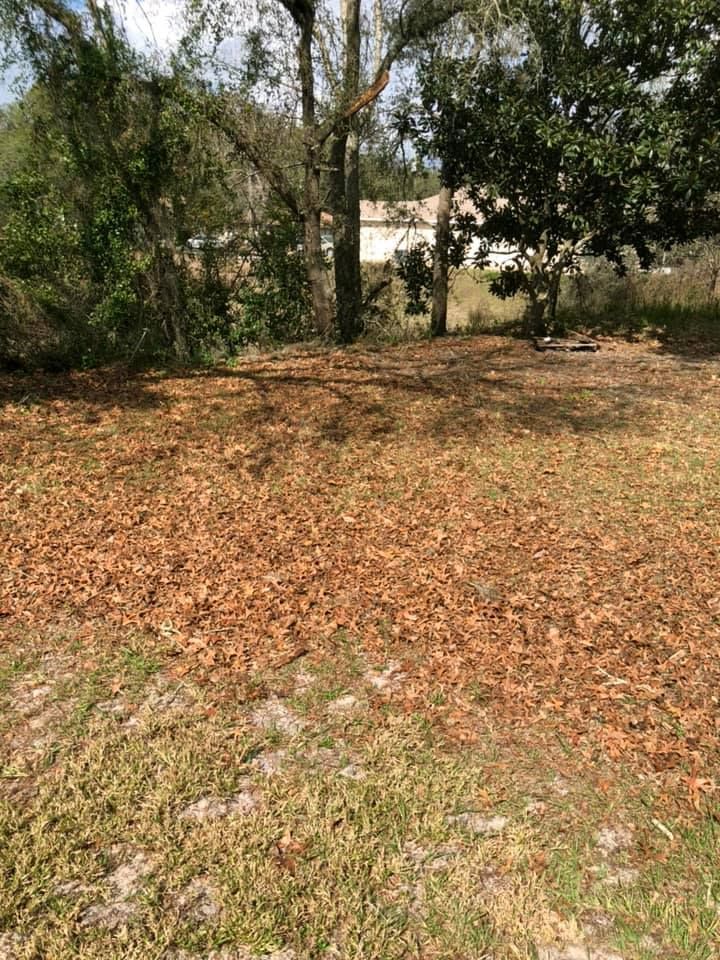 Landscaping for Perfect MOs Landscaping  in Hudson, FL