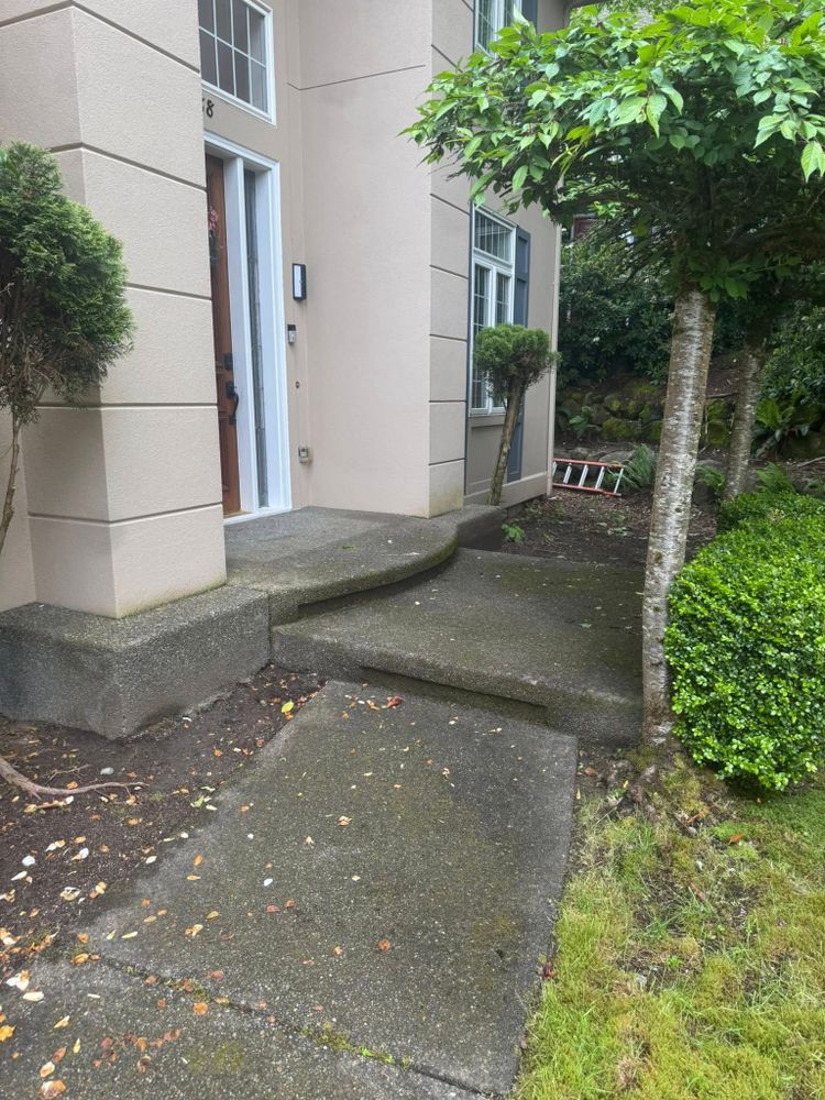 All Photos for Teo’s Property Maintenance and Solutions in Redmond, WA