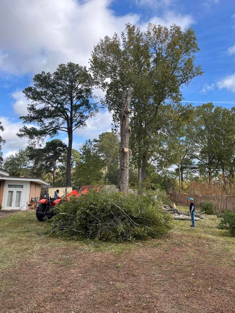 All Photos for JC Land and Tree Service in Kilgore, TX