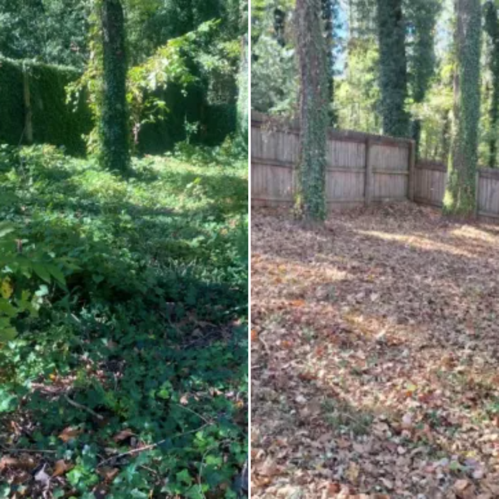 Our Brush Clearing service efficiently removes overgrown vegetation, enhancing your property's appearance and safety while promoting healthy plant growth and reducing fire hazards. Enjoy a clean, well-maintained landscape with our expert care. for Olmedo Home Services in Davie County, NC