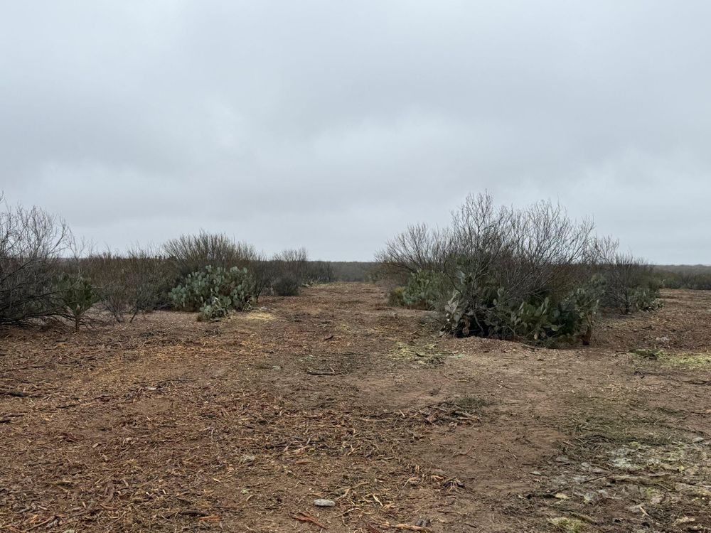 All Photos for Strause Land Improvement & Construction in George West, TX