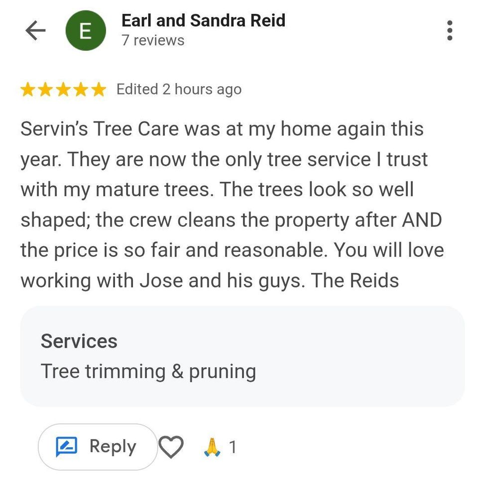 All Photos for Servin's Tree Care  in Houston, TX