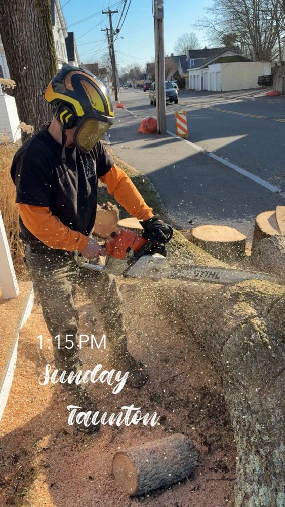 All Photos for Dwights Tree Service in Middleborough, MA