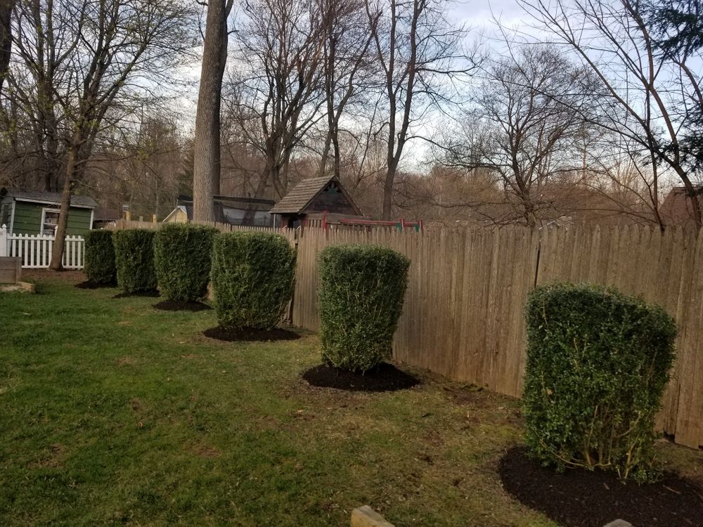 Our professional shrub trimming service enhances the appearance of your landscaping by shaping and pruning bushes to promote healthy growth and maintain a neat, tidy aesthetic for your outdoor space. for IPL Landscaping LLC in Newton, NJ