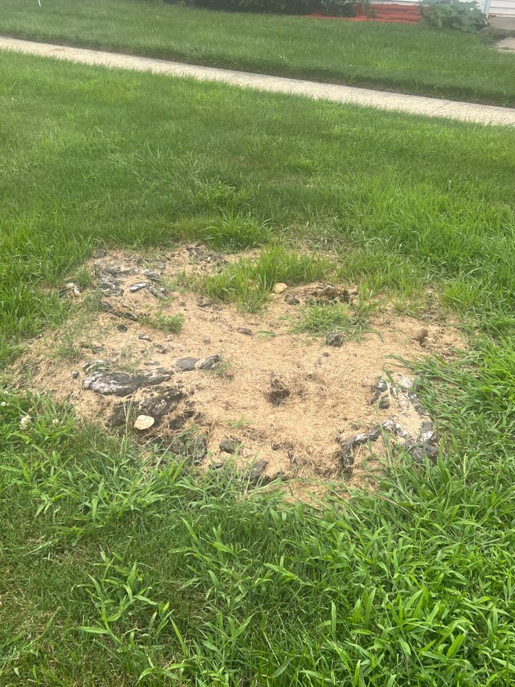 All Photos for Mark’s Mowing & Landscaping LLC  in Ashville, OH