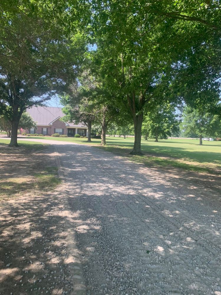 All Photos for Polasini Land Development in Starkville, MS