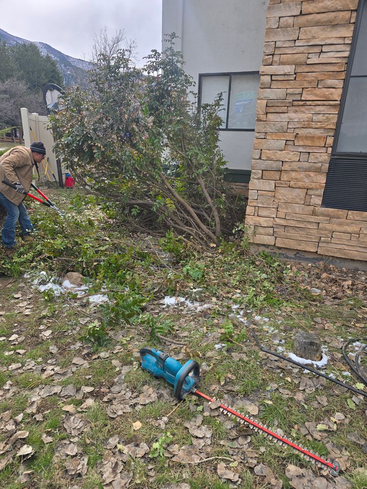 All Photos for LRS: Landscape, Rescue, Snow in Silt, CO