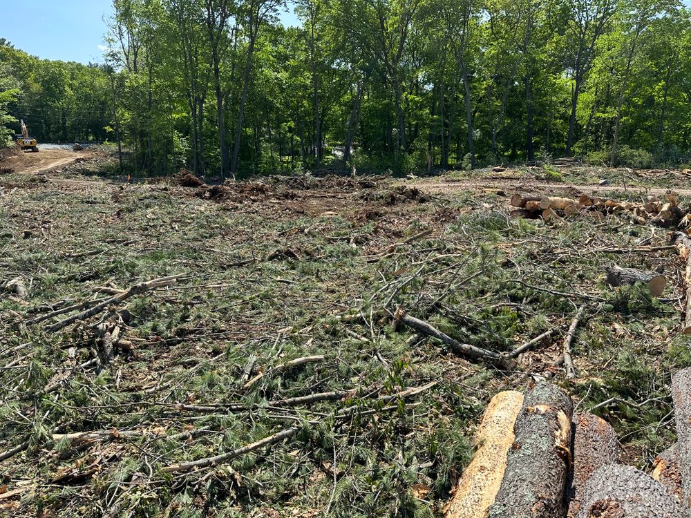 Land Clearing & Yard Expansion for Wagex Corp in Wilmington, MA