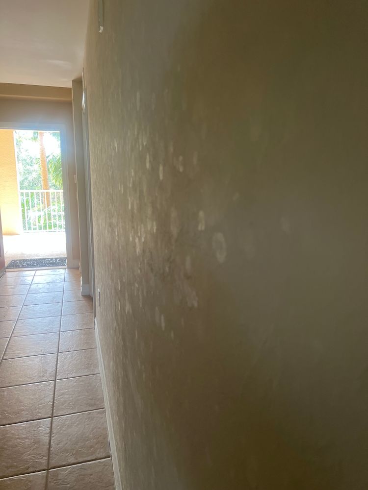 Mold Remediation for N&D Restoration Services When Disaster Attacks, We Come In in Cape Coral,  FL