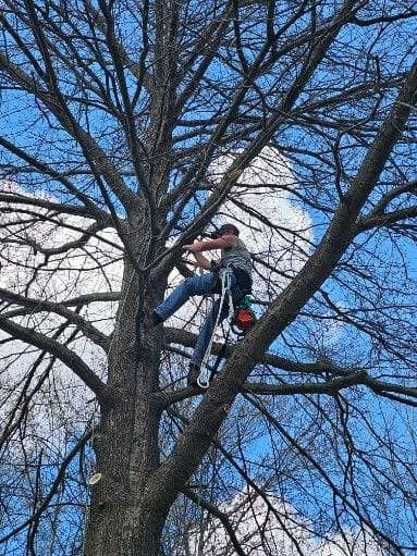 Tree Services for Fowler's Tree Service LLC. in New Albany, PA