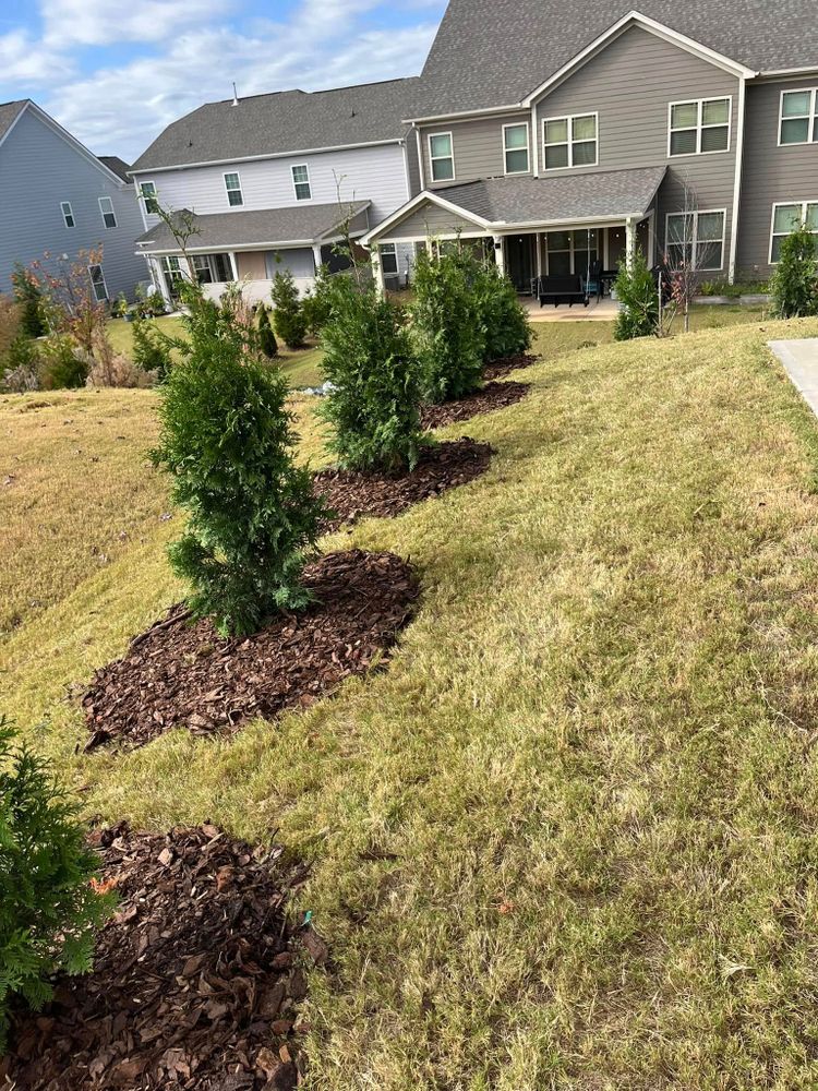 Enhance your outdoor space with our expert Garden Installation service, featuring professional mulch installation. We ensure a beautiful and sustainable landscape tailored to your home's unique needs and aesthetic preferences. for S&R Landscaping and Nursery in Charlotte, NC