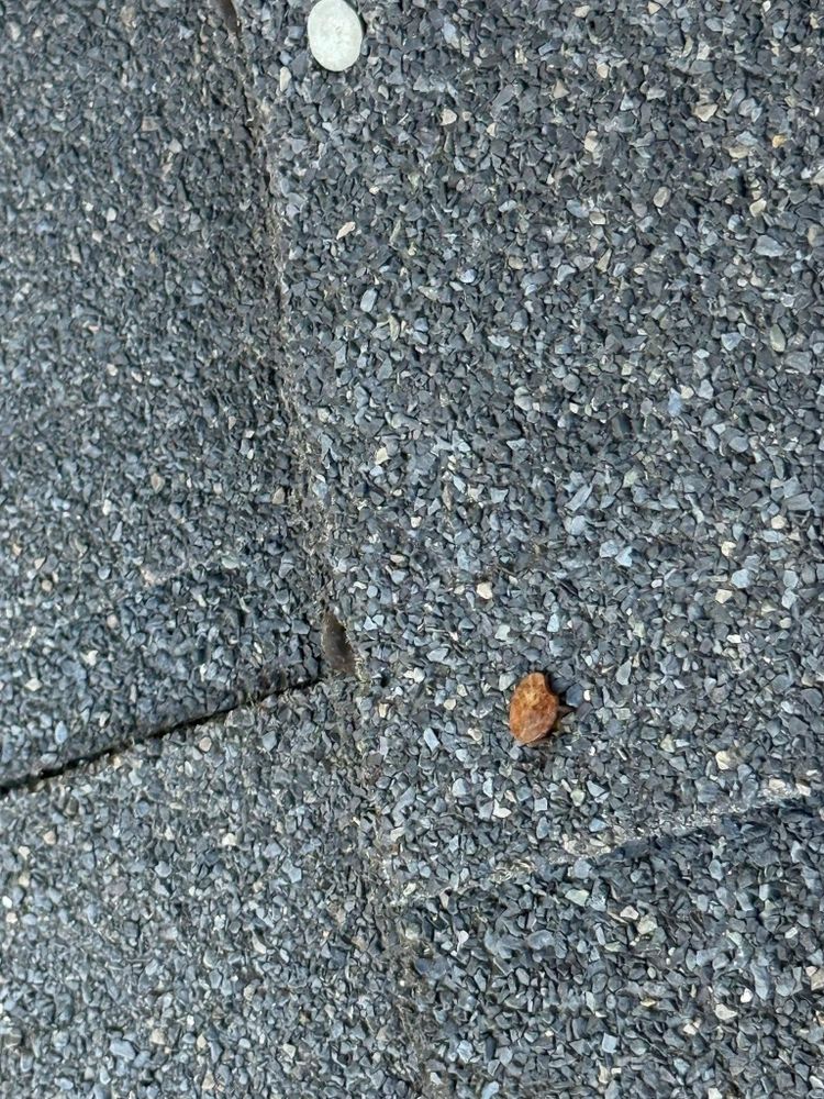 All Photos for Precision Remodeling and Property Maintenance  in Detroit, MI