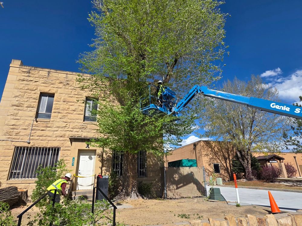 All Photos for Double A Home & Lawn Services in Montrose, CO