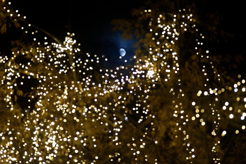 All Photos for Amazing Christmas Lights in Magnolia, TX