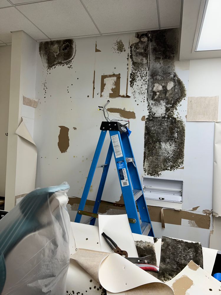 Mold Remediation for N&D Restoration Services When Disaster Attacks, We Come In in Cape Coral,  FL