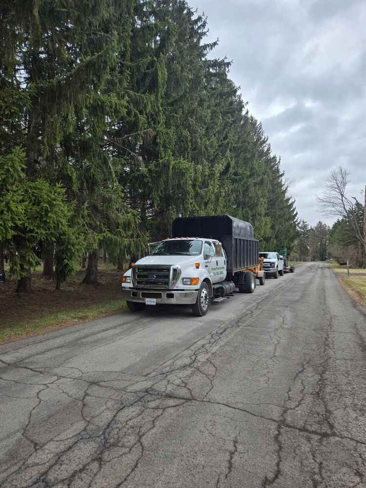 All Photos for Proza Tree Service in North Tonawanda, NY