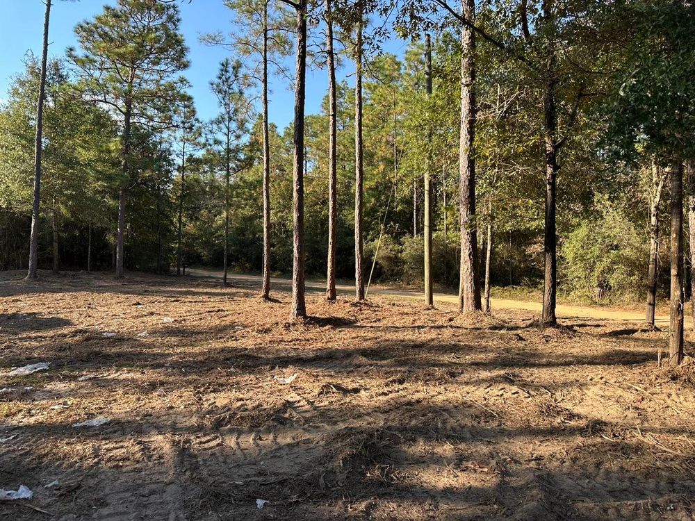 All Photos for White’s Land Maintenance in Milton,, FL