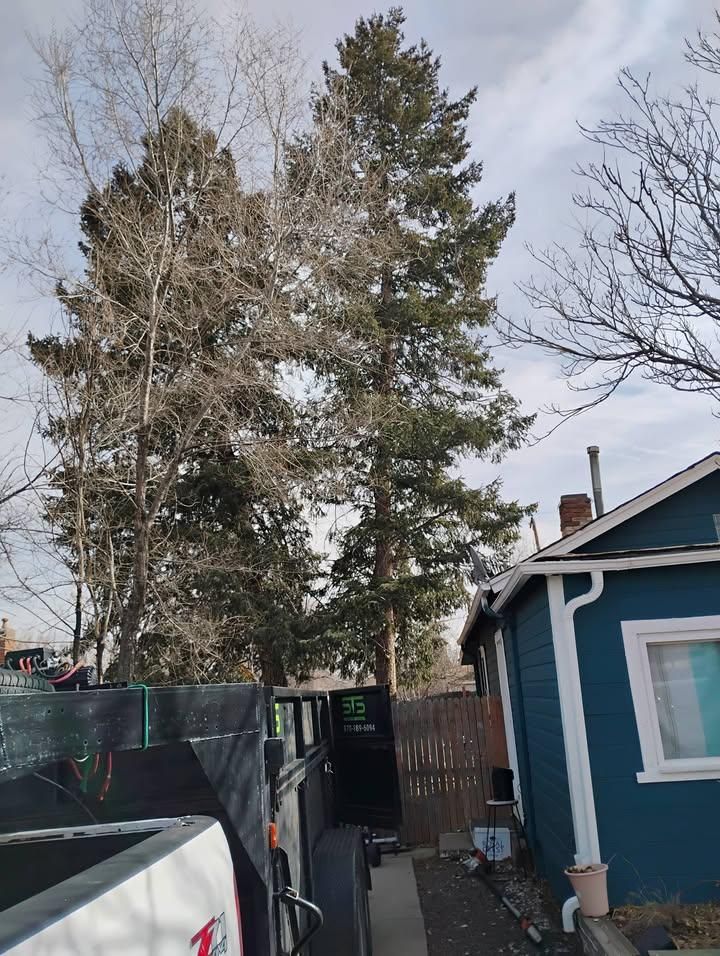 All Photos for Sloan Tree Service in Aurora, CO