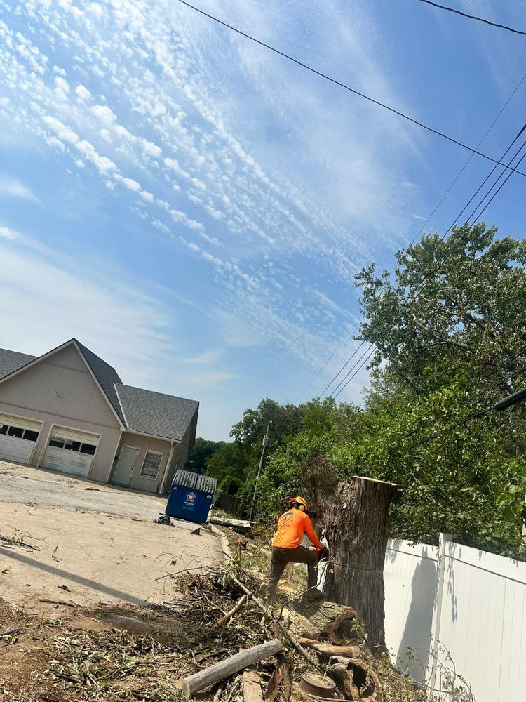 All Photos for Cross Family Tree Service in Kearney, MO