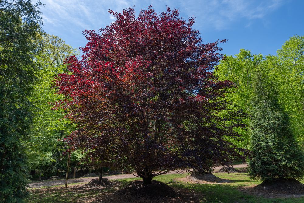 All Photos for  in Morristown, NJ