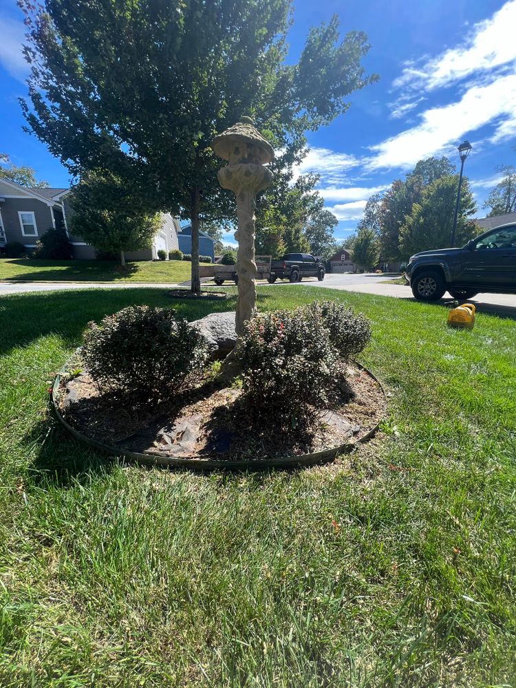 All Photos for SkyLimit LawnCare in Asheville, NC